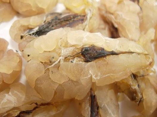 雪蛤商標注冊的費用是多少?