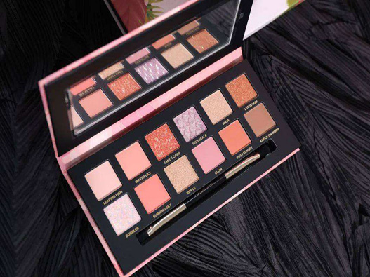 眼影注冊商標(biāo)