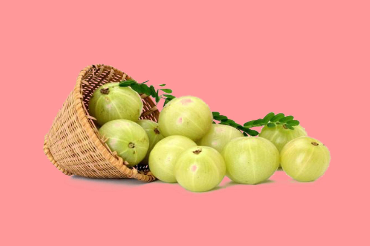 油甘果罐頭商標注冊