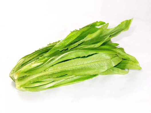 油麥菜商標注冊哪一類?