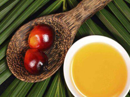 食用棕櫚油商標(biāo)注冊哪一類?